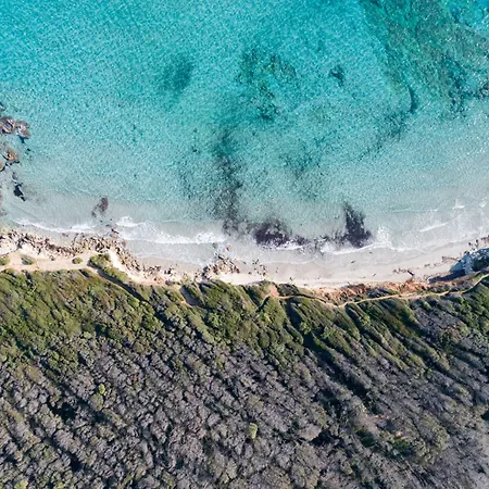 מלון Masseria Mongio Dell'elefante 4*