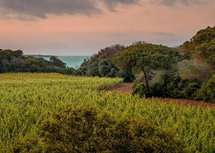 Hotel Masseria Mongio Dell'elefante 4*