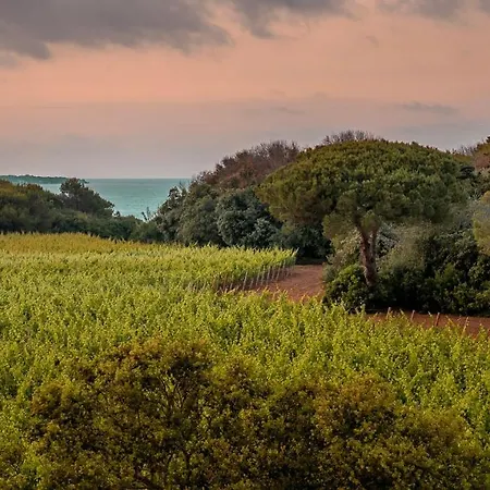 מלון Masseria Mongio Dell'elefante 4*