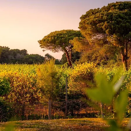 Masseria Mongio Dell'elefante 4* Otrante