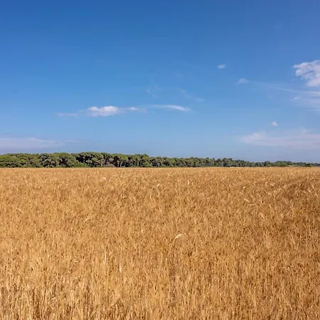 Ξενοδοχείο Masseria Mongio Dell'elefante