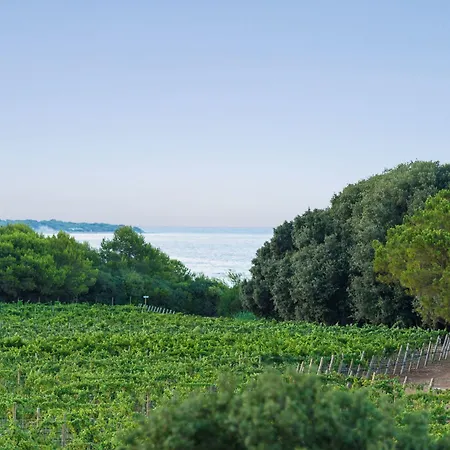 Ξενοδοχείο Masseria Mongio Dell'elefante