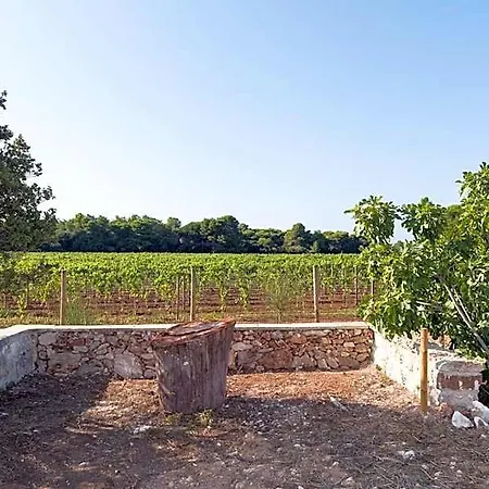 Masseria Mongio Dell'elefante Hotel