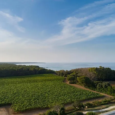 Отель Masseria Mongio Dell'elefante