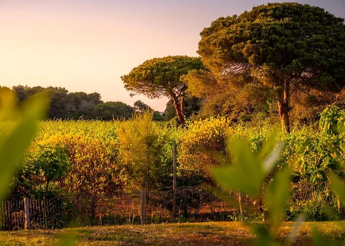 Masseria Mongio Dell'elefante 4* Otranto